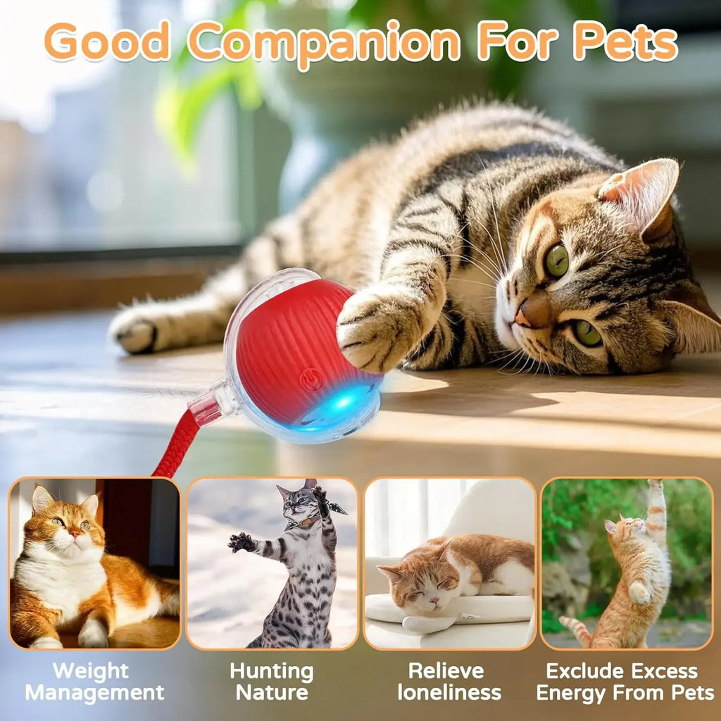 Veltora iLMH interactive cat toy with rolling ball, faux tail, rechargeable electric design, mimics mouse movement for pet entertainment.