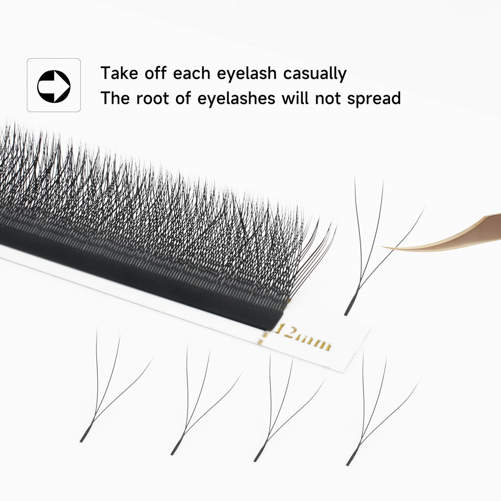 Veltora XIUSUZAKI W Shaped Lashes Bloom 2D to 8D premade fan eyelash extensions on display