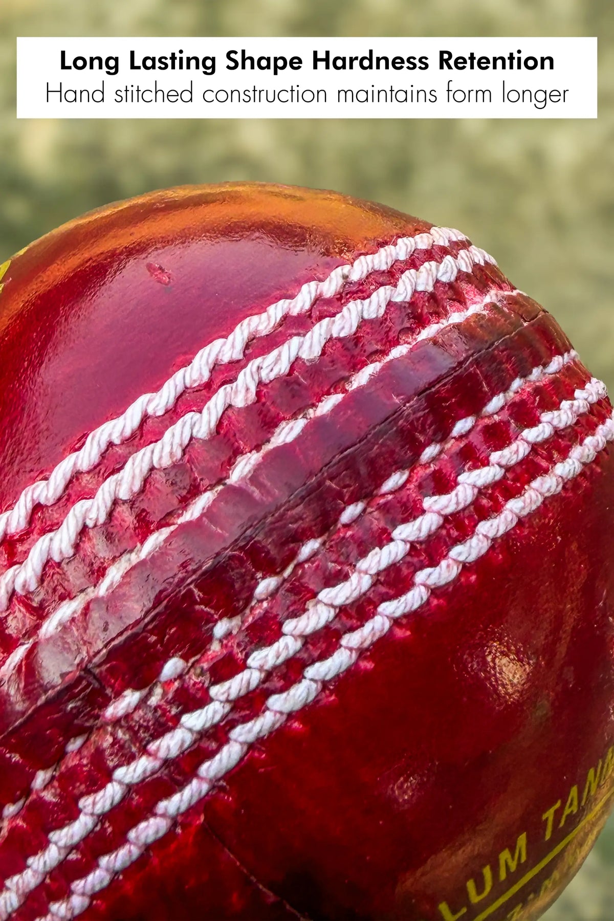 Red ZAP Cricket Pacer 20 leather cricket ball with a one-piece design, ideal for practice and match play.